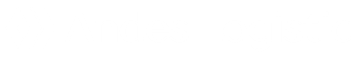 Andes Logistic